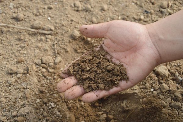 Soil Quality Study